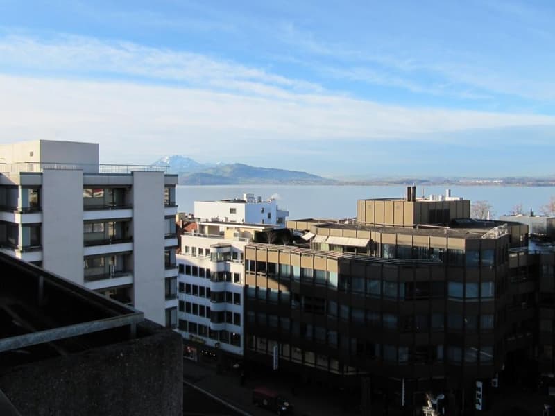 Exklusive 2.5-Zimmer-Wohnung in Zug – Neu renoviert & modern möbliert mit Seesicht. (29)