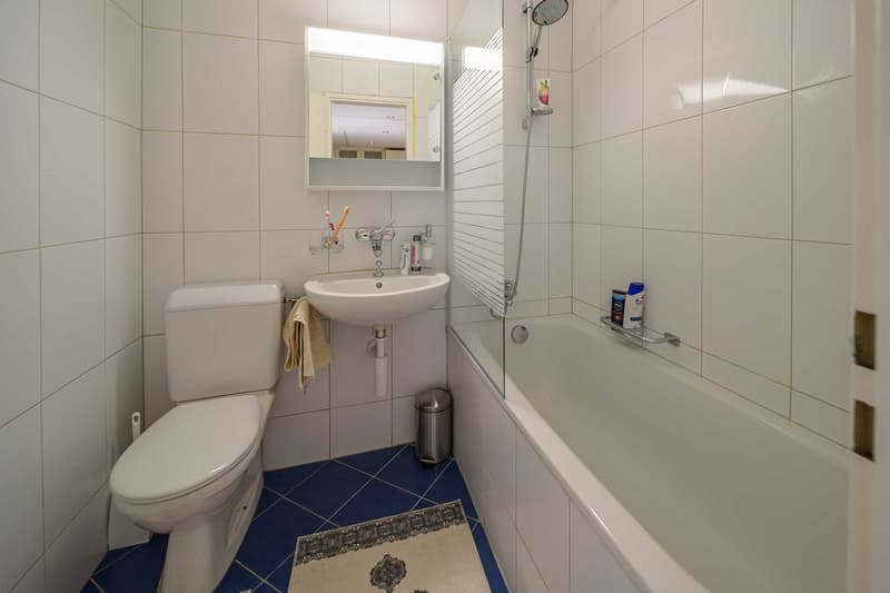 Exklusive 2.5-Zimmer-Wohnung in Zug – Neu renoviert & modern möbliert mit Seesicht. (23)