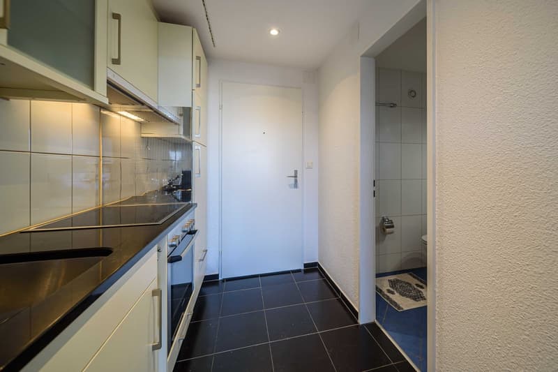 Renovierte und möblierte 1.5-Zimmer-Wohnung in Zug mit Seesicht (12)