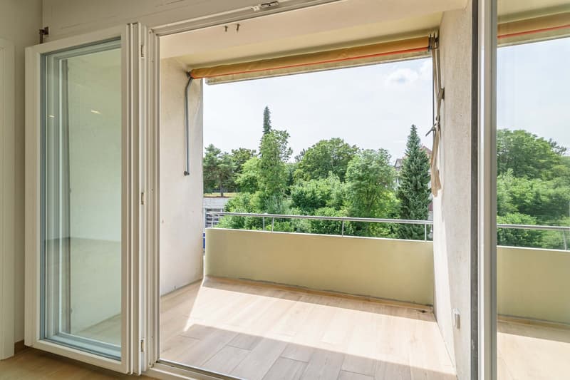 Helle 5.5-Zimmer-Wohnung in Grenchen mit Balkon und Alpenblick (21)
