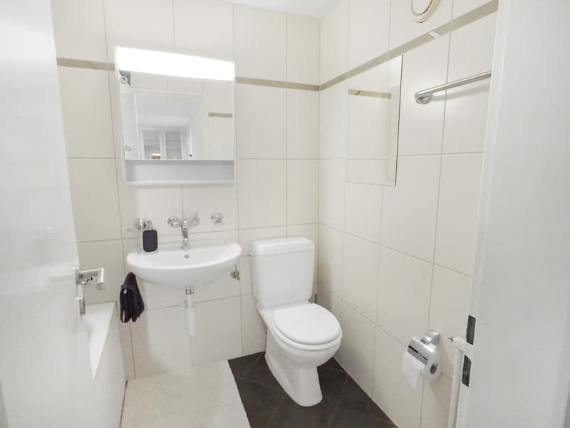 Renovierte und möblierte 2.5-Zimmer-Wohnung in Zug mit Seesicht (20)
