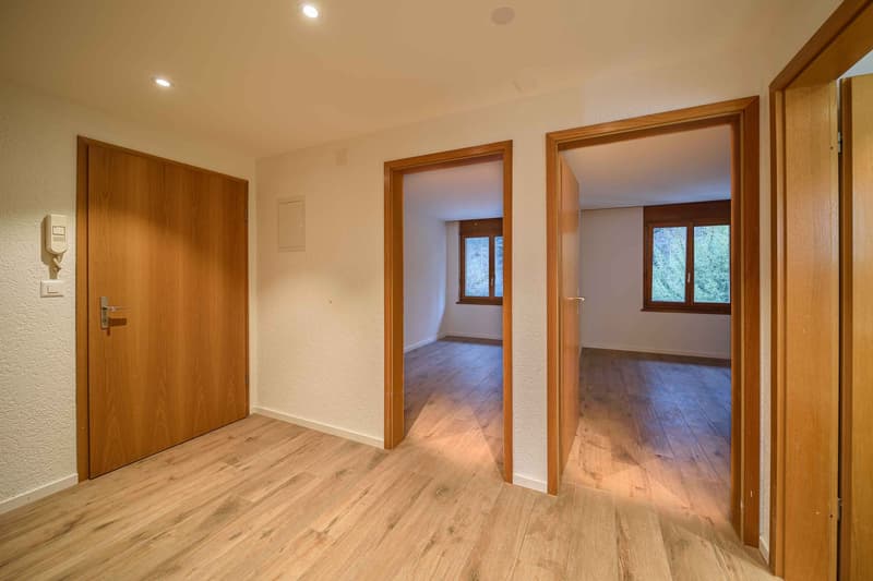 Renovierte 3.5-Zimmer-Wohnung in Oensingen mit Balkon (5)