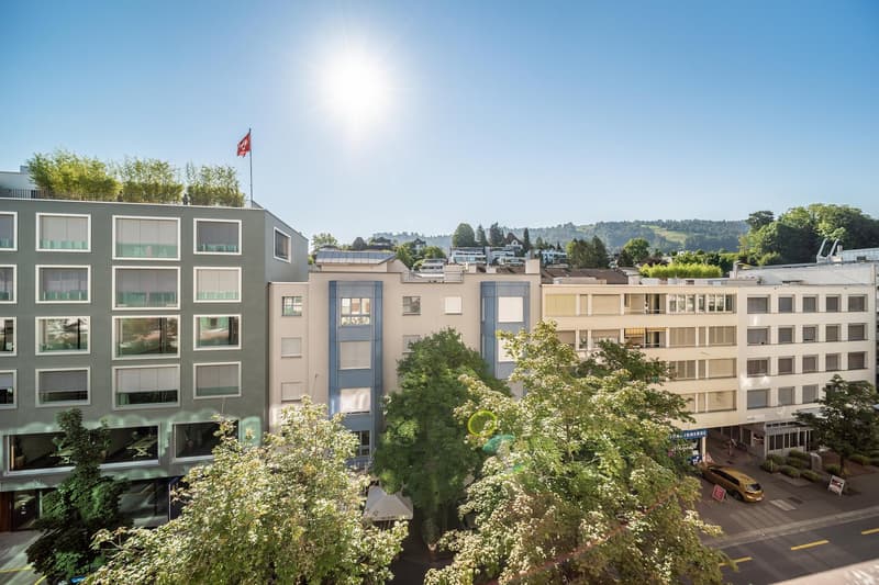 Renovierte und möblierte 2.5-Zimmer-Wohnung in Zug mit Seesicht (28)