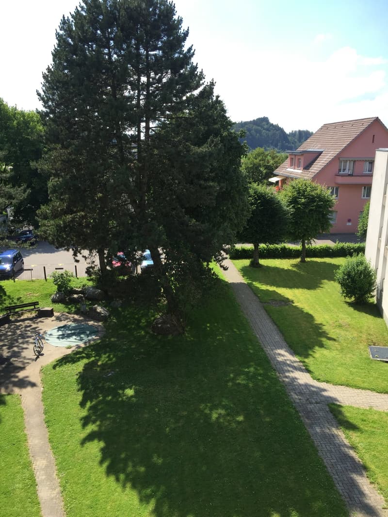 Renovierte 4.5-Zimmer-Wohnung mit Balkon und Blick ins Grüne (11)