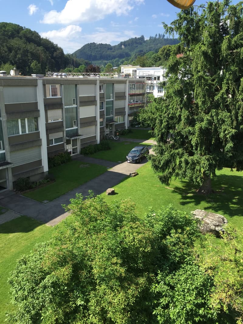 Renovierte 4.5-Zimmer-Wohnung mit Balkon und Blick ins Grüne (15)