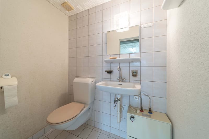 Grosses 1-Zimmer-Studio im Untergeschoss in Oensingen (7)