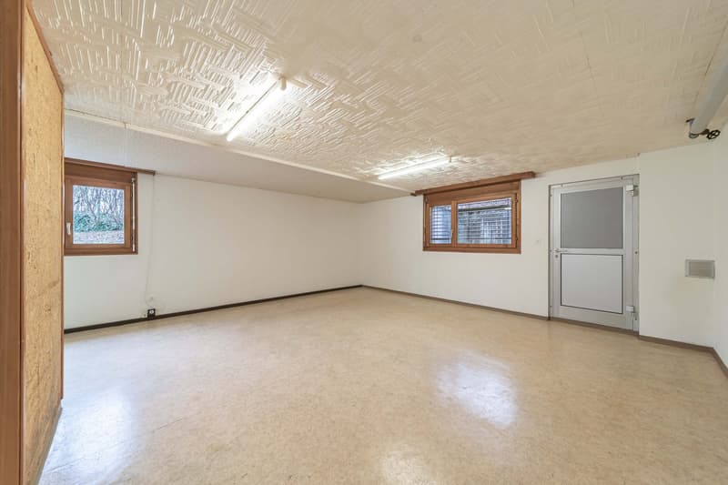 Grosses 1-Zimmer-Studio im Untergeschoss in Oensingen (5)
