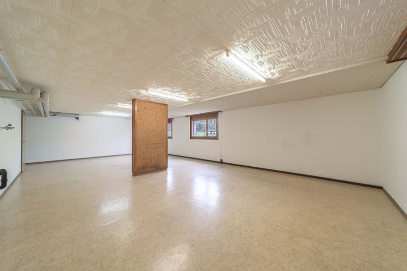 Grosses 1-Zimmer-Studio im Untergeschoss in Oensingen (4)