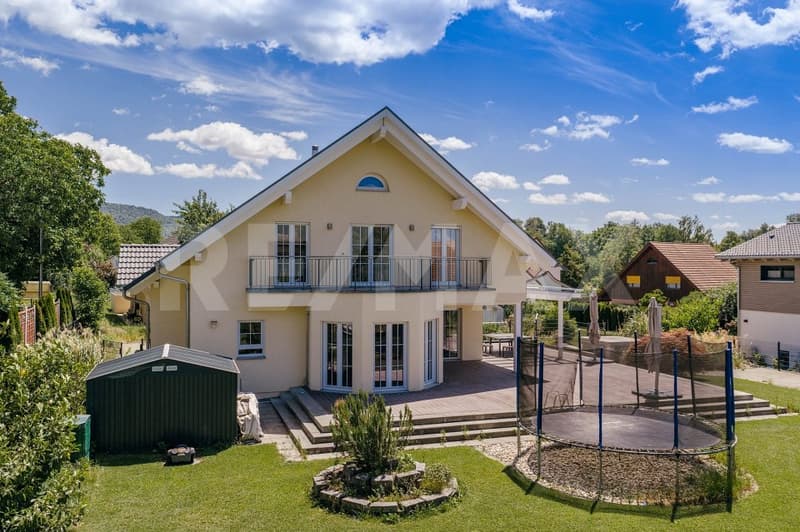 Exklusives 9.5 Zimmer Einfamilienhaus in Schlattingen, TG (2)