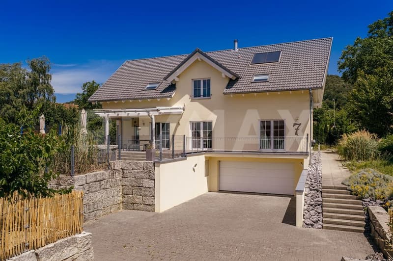 Exklusives 9.5 Zimmer Einfamilienhaus in Schlattingen, TG (1)