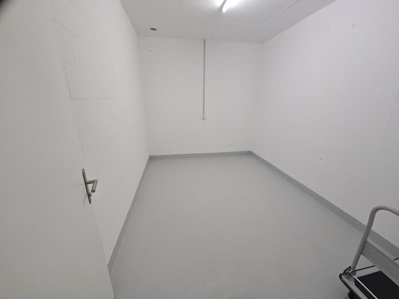 empty room, white walls, gray floor, door, trolley