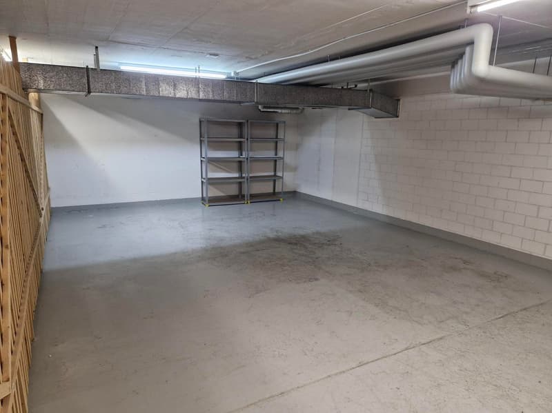 Lagerraum 43m2 zentral gelegen in Zürich Altstetten. (5)