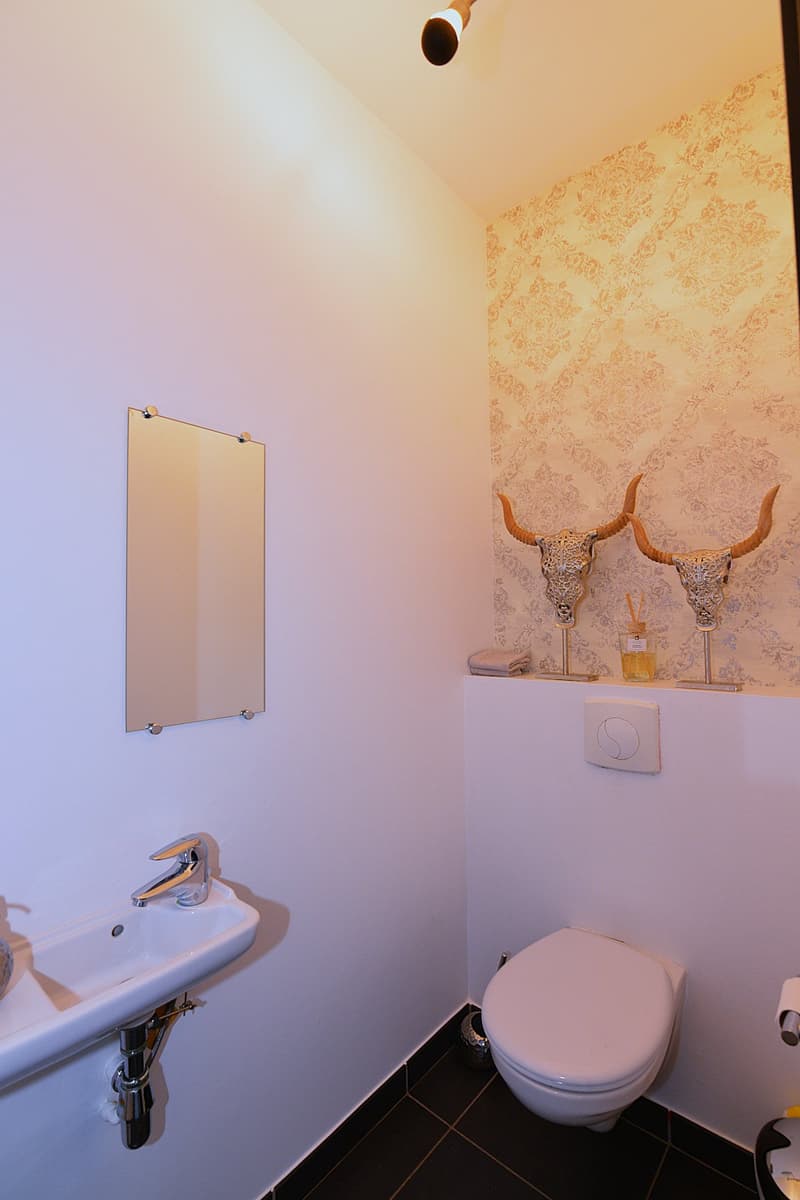 small bathroom with white walls, black tiles, white sink, white toilet, mirror, bull skull decor