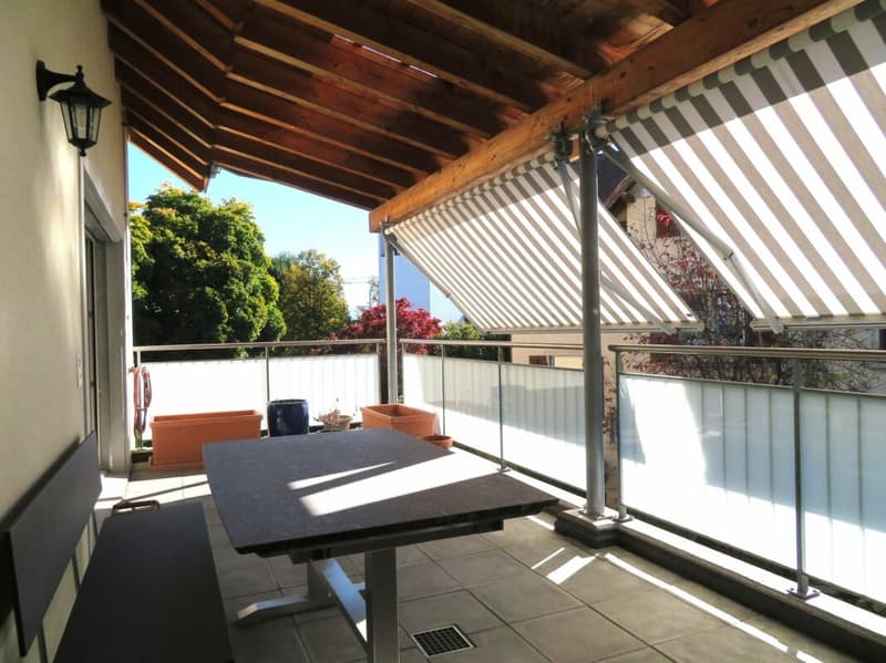 6.5+ Zimmer Dach-Maisonetten Wohnung (3)