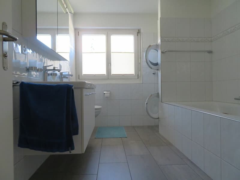 6.5+ Zimmer Dach-Maisonetten Wohnung (4)