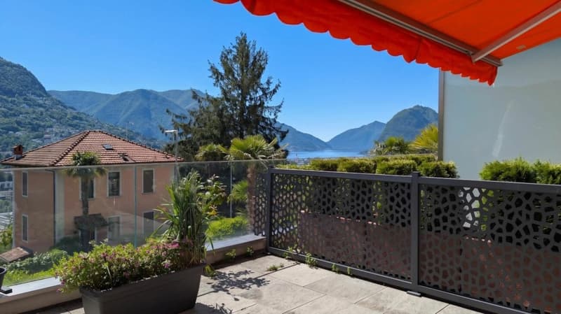 Elegante 2.5 locali con grande terrazza vista lago e piscina (8)