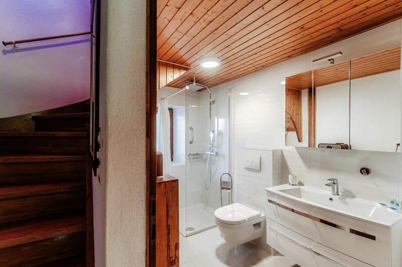 Accogliente duplex ristrutturato vicino all'EOC di Bellinzona - Casa vacanze (13)