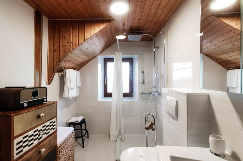 Accogliente duplex ristrutturato vicino all'EOC di Bellinzona - Casa vacanze (11)