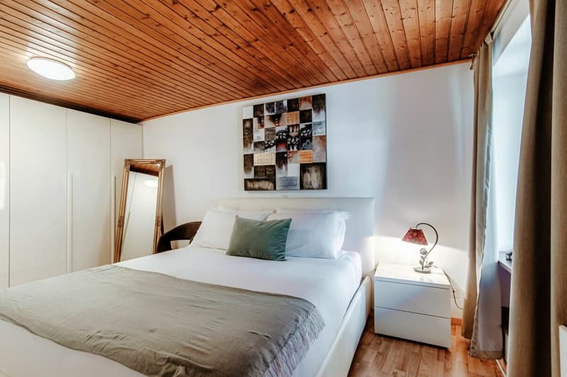 Accogliente duplex ristrutturato vicino all'EOC di Bellinzona - Casa vacanze (7)
