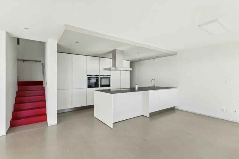 Villa contemporanea con due giardini e vista panoramica (1)