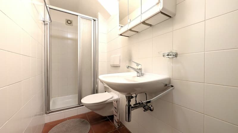 Villa bifamiliare con giardino di 800 m² (12)
