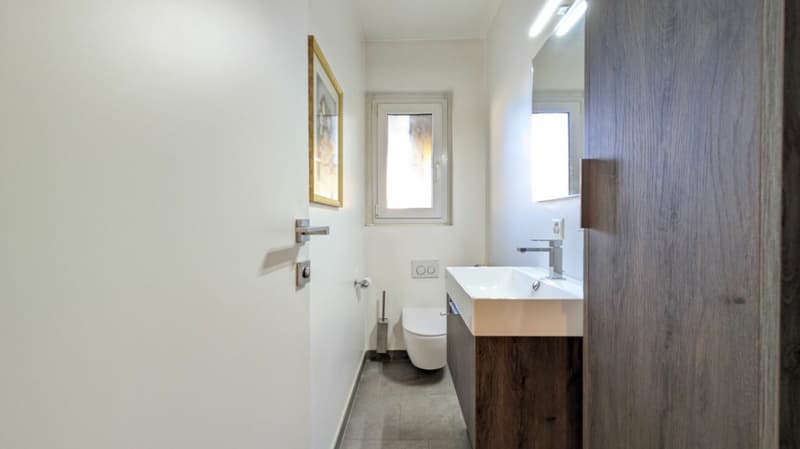 Villa bifamiliare con giardino di 800 m² (9)