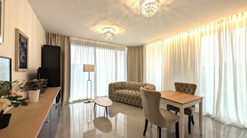 Elegante 2.5 locali arredato in palazzina moderna (3)