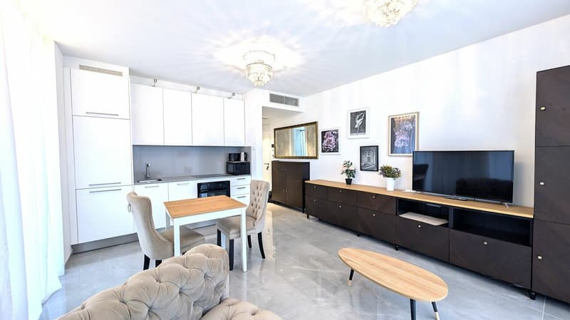 Elegante 2.5 locali arredato in palazzina moderna (1)