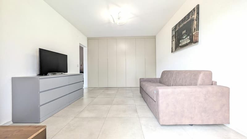Appartamento arredato con parziale vista Lago (4)