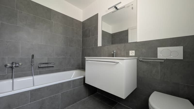 Ampio, design moderno e nuovo! (14)