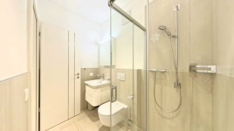 Prestigioso attico con spazi generosi e tre balconi panoramici (17)