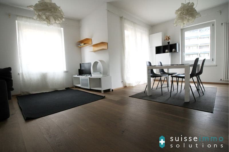 Lugano_ Elegante appartamento 3.5 Loc (12)