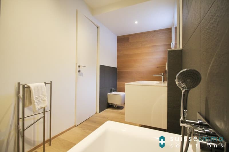 Lugano_ Elegante appartamento 3.5 Loc (8)