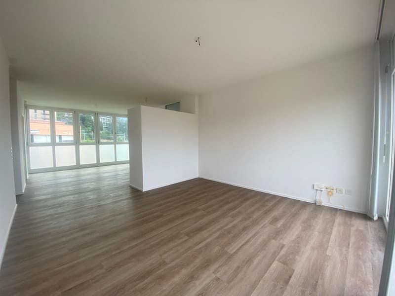 Balerna _ Appartamento 3.5 locali in affitto - Residenza secondaria (5)