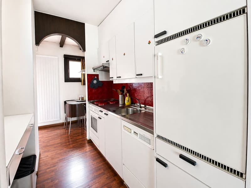 Montagnola - Grazioso Duplex 2.5 loc - con dehor privato e posto auto in autorimessa (5)