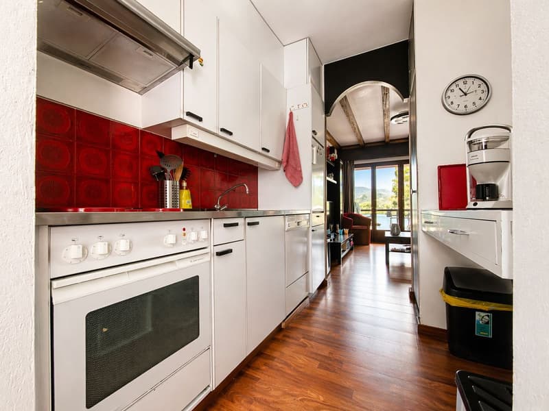 Montagnola - Grazioso Duplex 2.5 loc - con dehor privato e posto auto in autorimessa (4)