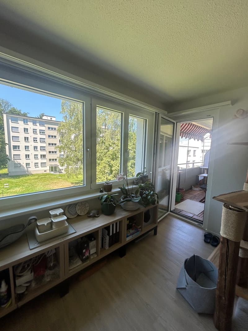 Muster Wohnzimmer und Balkon