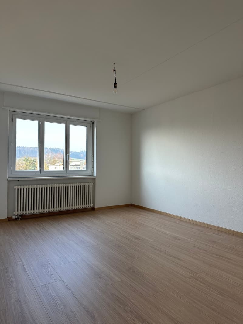 empty room, hardwood floors, large window, white walls, radiator, hanging light