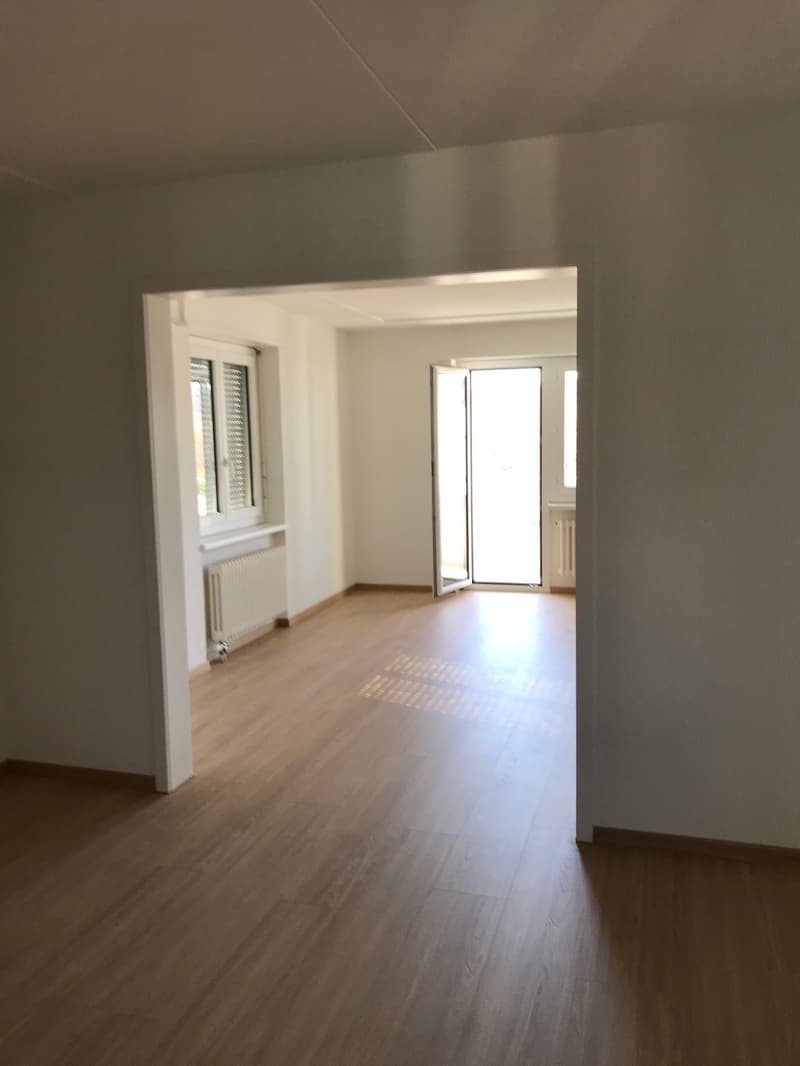 Empty room with wooden floor, white walls, glass door, windows, and radiators