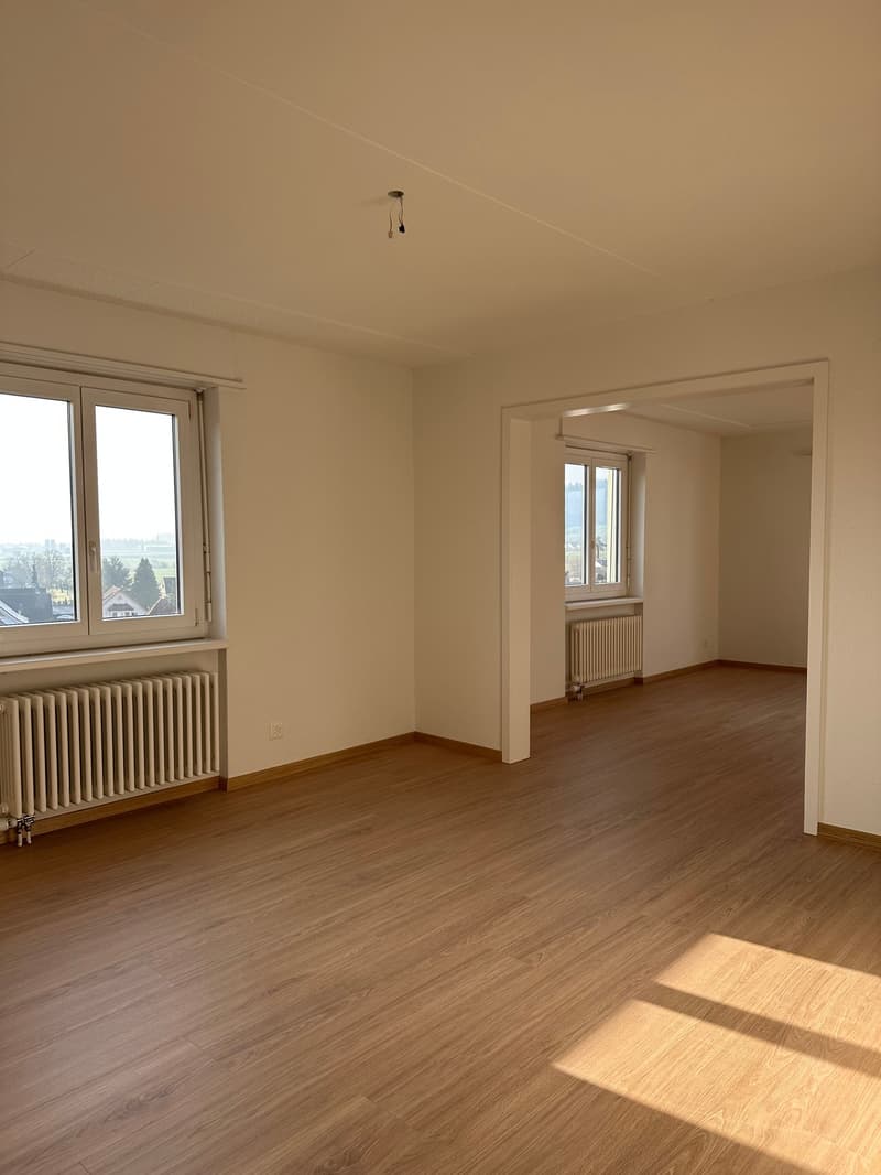 Empty room with hardwood floors, white walls, two large windows with a view, a ceiling-mounted lamp, and a radiator