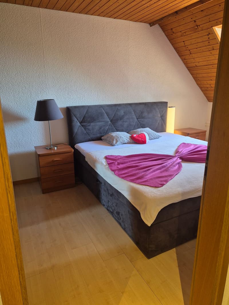 Ihr neues, gemütliches Zuhause in Dottikon (4)