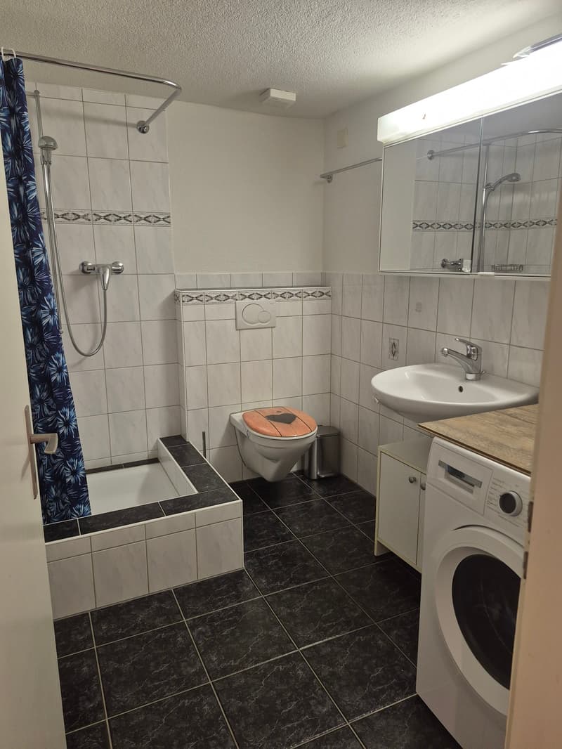 Ihr neues, gemütliches Zuhause in Dottikon (7)