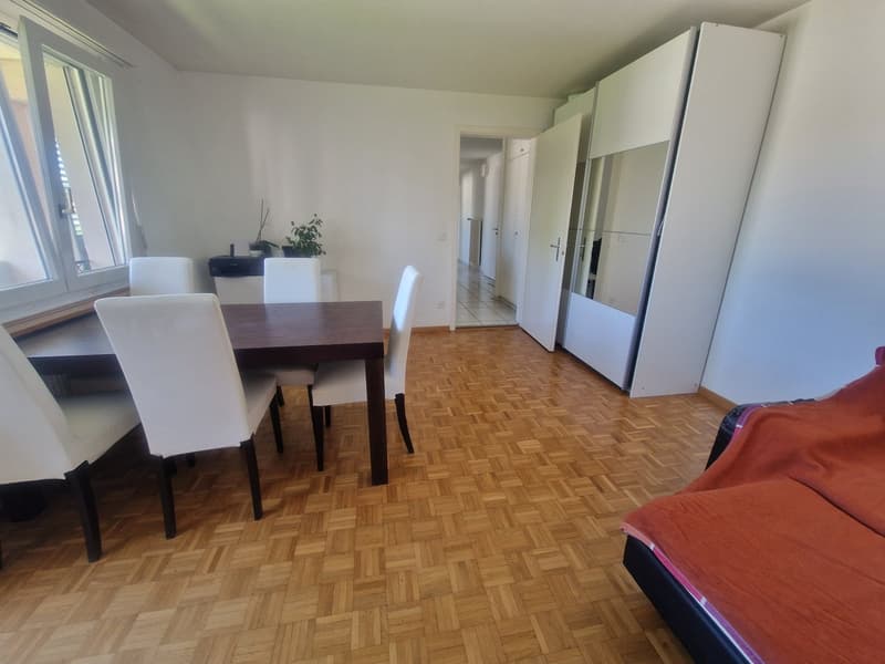 3.5 Zimmerwohnung an ruhiger Lage und trotzdem sehr zentral (5)