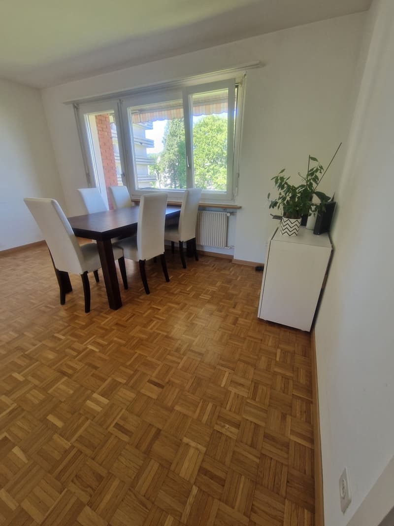 3.5 Zimmerwohnung an ruhiger Lage und trotzdem sehr zentral (4)