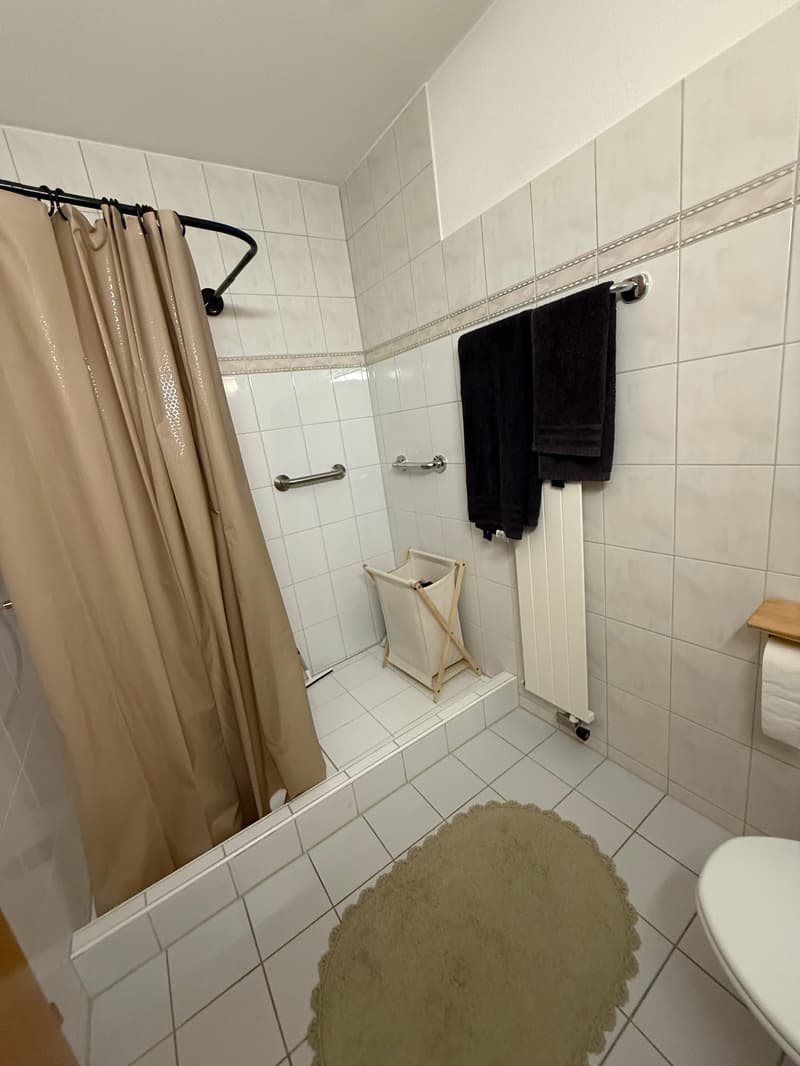 Zentral, hell & gemütlich: 2.5-Zimmer-Wohnung in Niederwil (8)