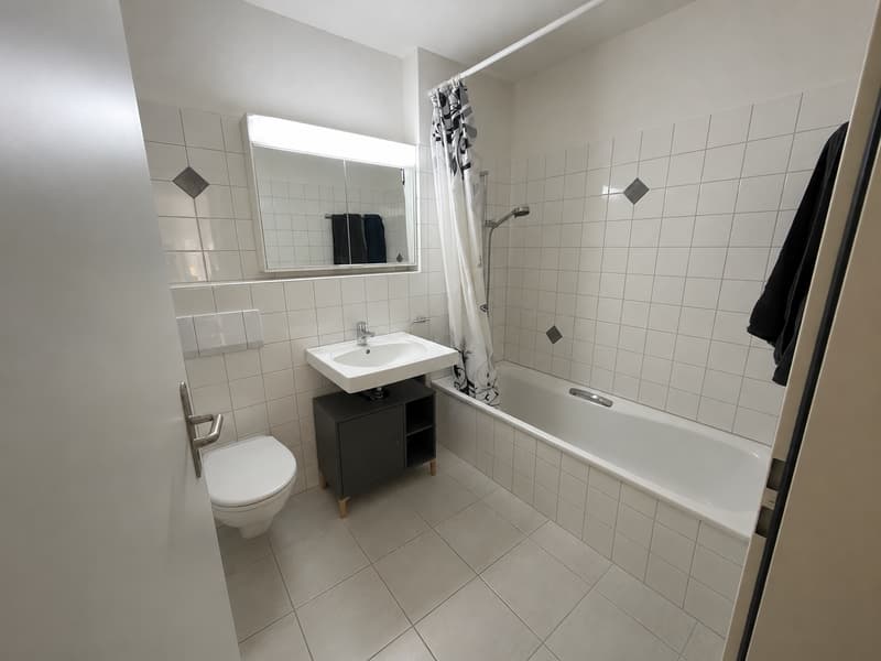 Helle gemütliche Wohnung in Bremgarten (9)