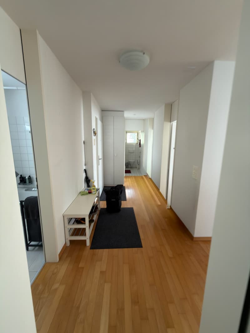 Helle gemütliche Wohnung in Bremgarten (4)