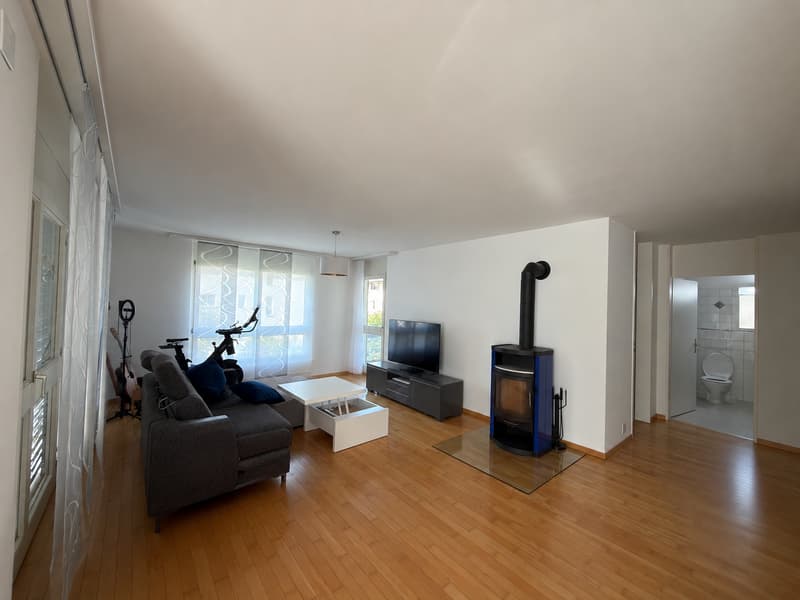 Helle gemütliche Wohnung in Bremgarten (6)