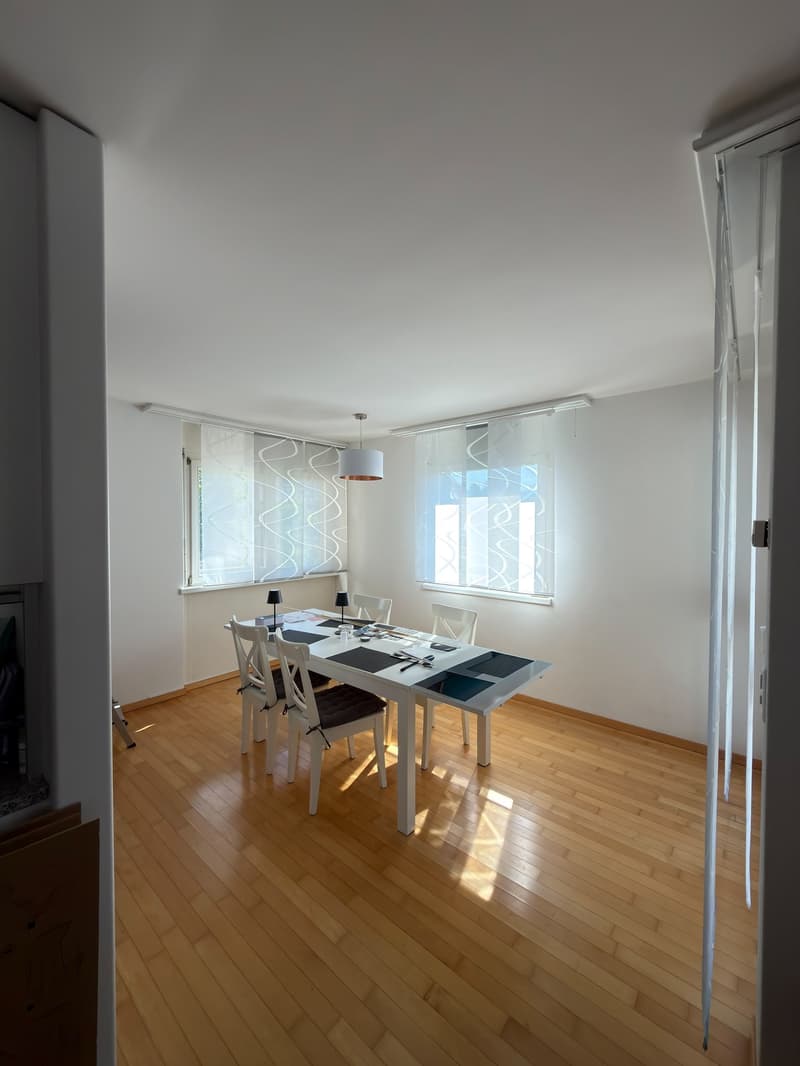 Helle gemütliche Wohnung in Bremgarten (5)