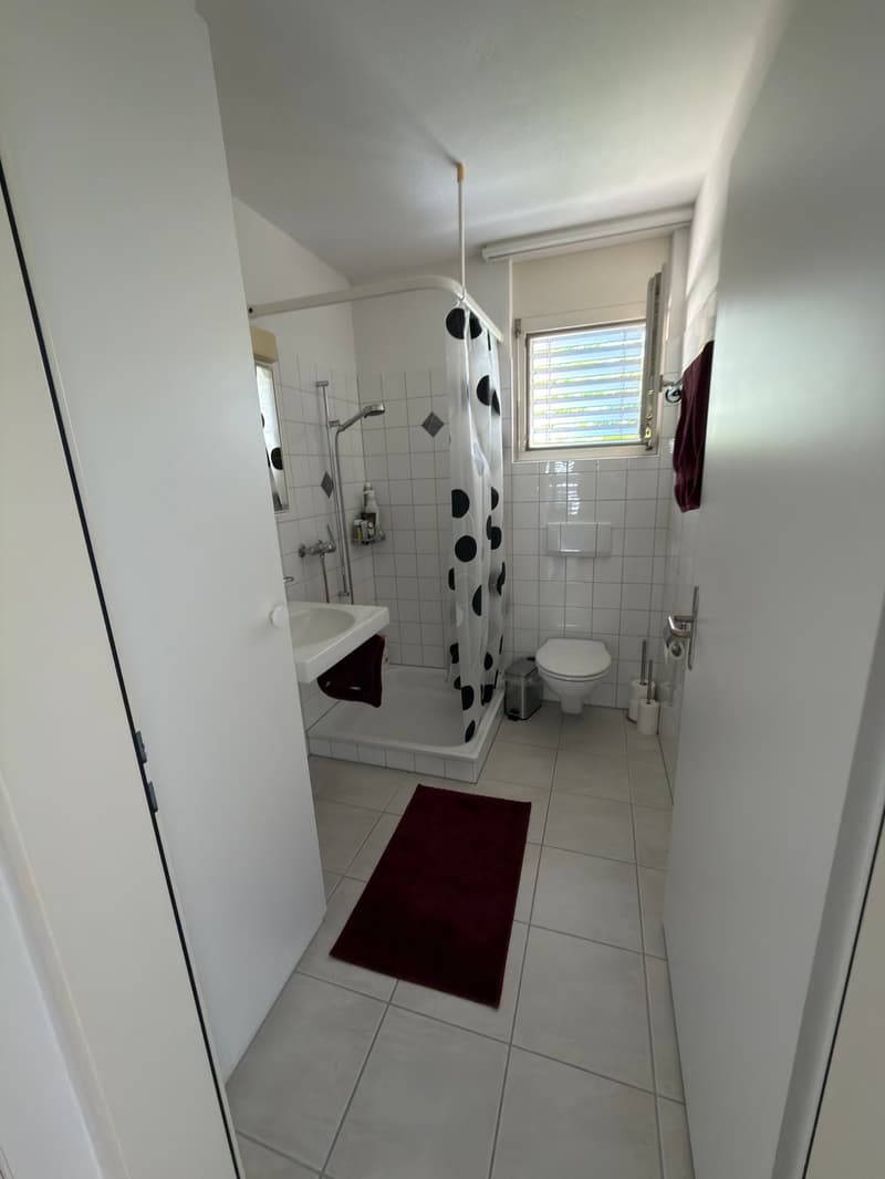 Helle gemütliche Wohnung in Bremgarten (10)